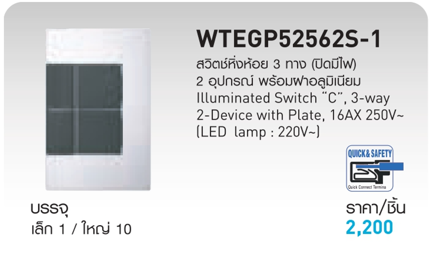 WTEGP52562S-1