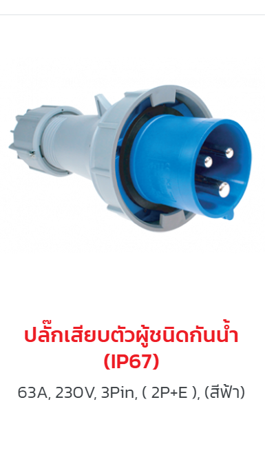 ผลิตภัณฑ์ปลั๊กและเต้ารับ