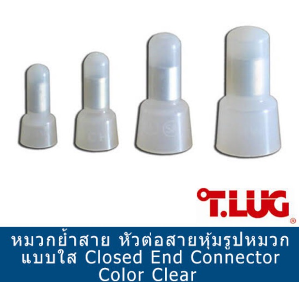 หางปลา T.Lug