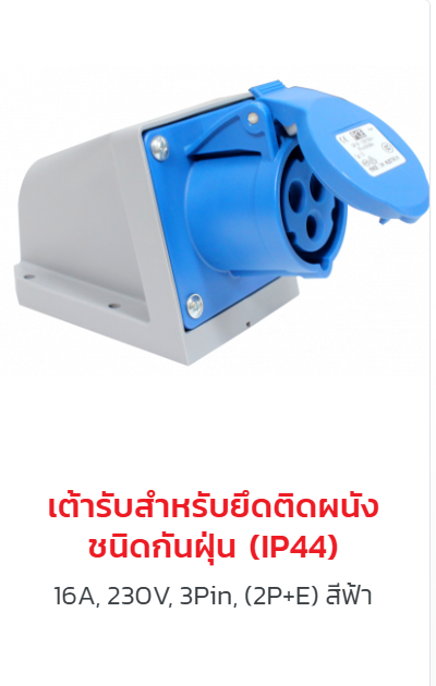 ผลิตภัณฑ์ปลั๊กและเต้ารับ