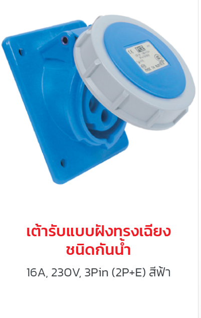 ผลิตภัณฑ์ปลั๊กและเต้ารับ