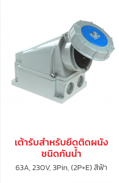 ผลิตภัณฑ์ปลั๊กและเต้ารับ