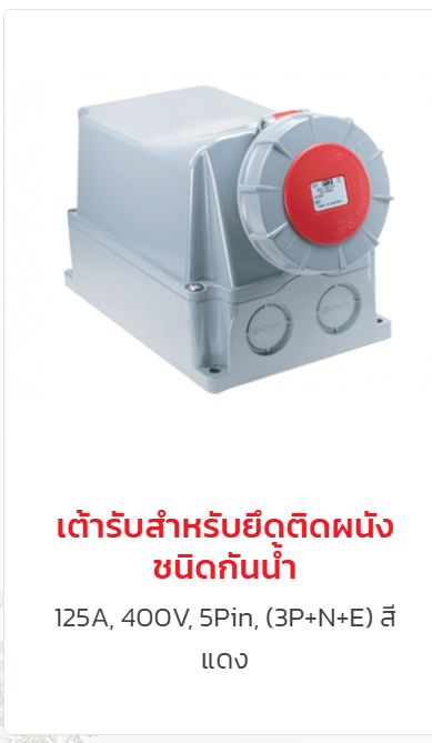 ผลิตภัณฑ์ปลั๊กและเต้ารับ